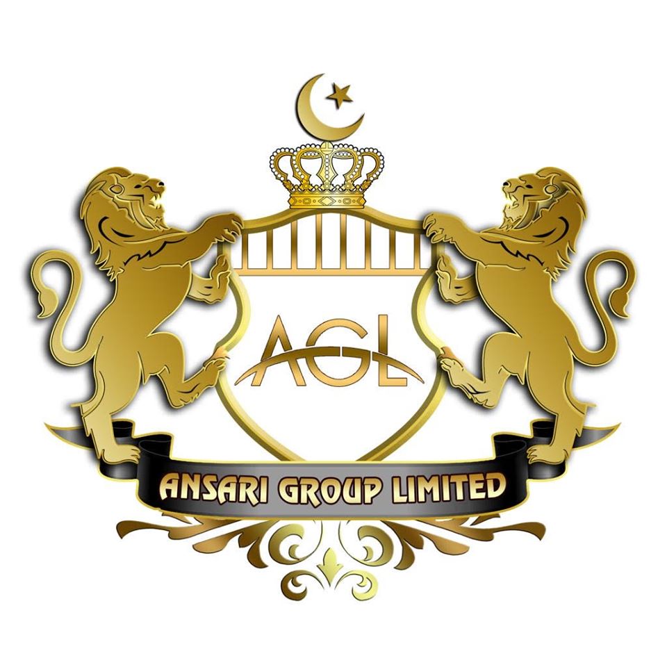 Ansari Groups Logo White